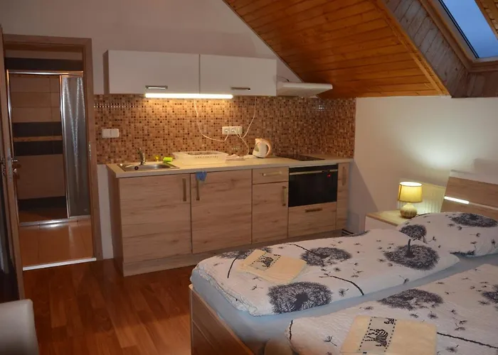Πανσιόν U Konicka 3*